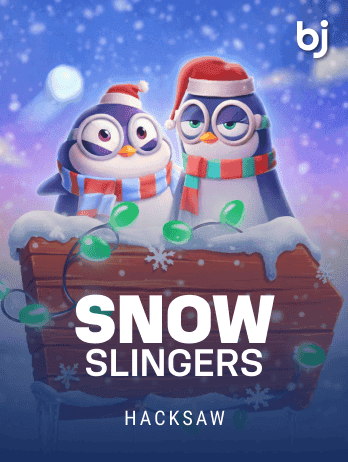 Snow Slingers game cover