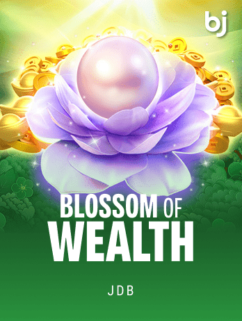 Blossom Of Wealth game cover