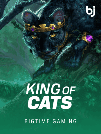 King of Cats game cover